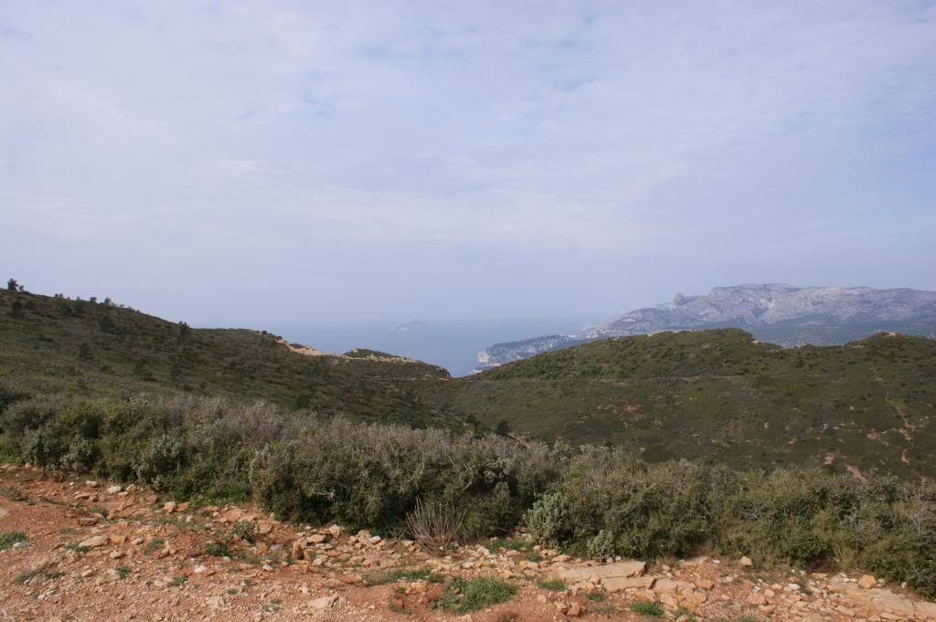 DSC05629_zps53bf3c46.jpg