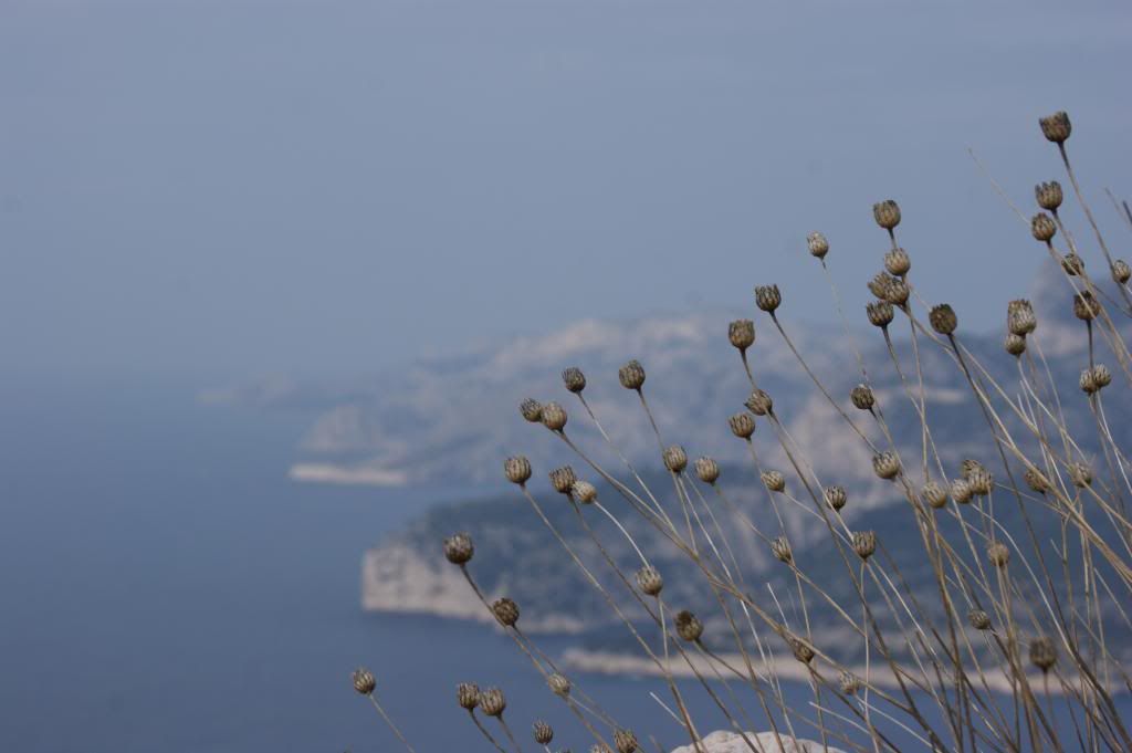 DSC05664_zps39a57808.jpg