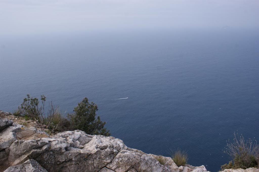 DSC05694_zps5d2bdd0c.jpg