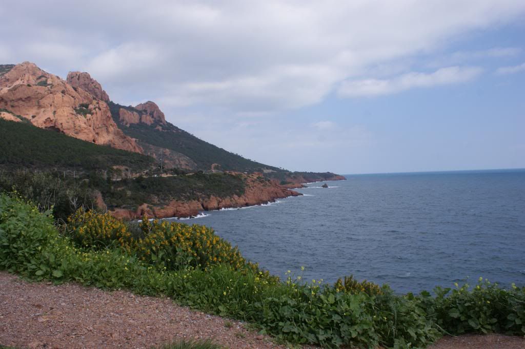 DSC05724_zps9ce09a18.jpg