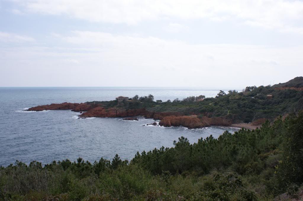 DSC05728_zps1bf10e17.jpg