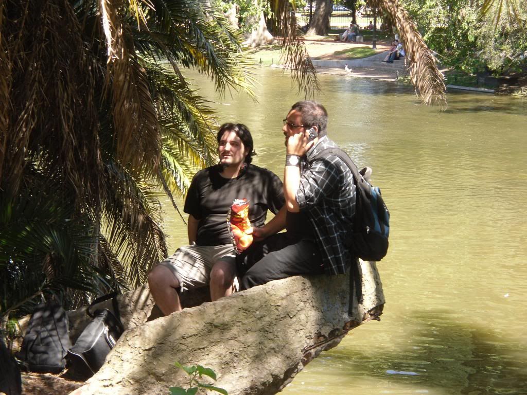 amistad colectiva amistad colectiva