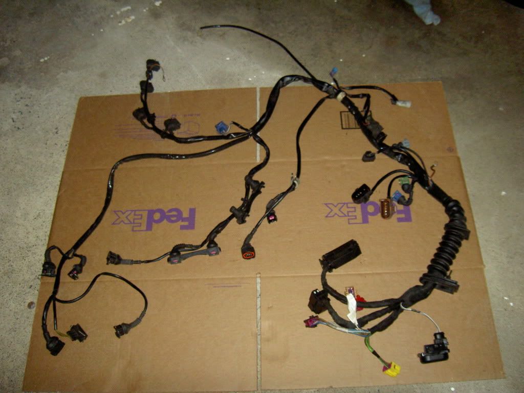 FS 1.8T ENGINE HARNESS UNCUT. VW Vortex Volkswagen Forum