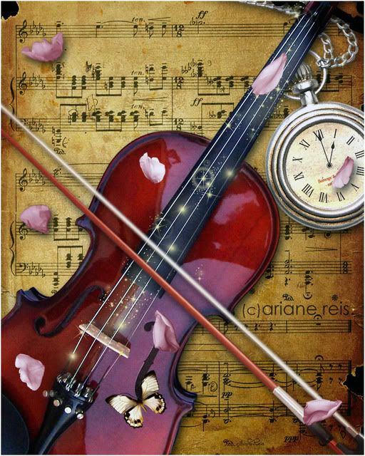 Rose and Violin Pictures, Images and Photos