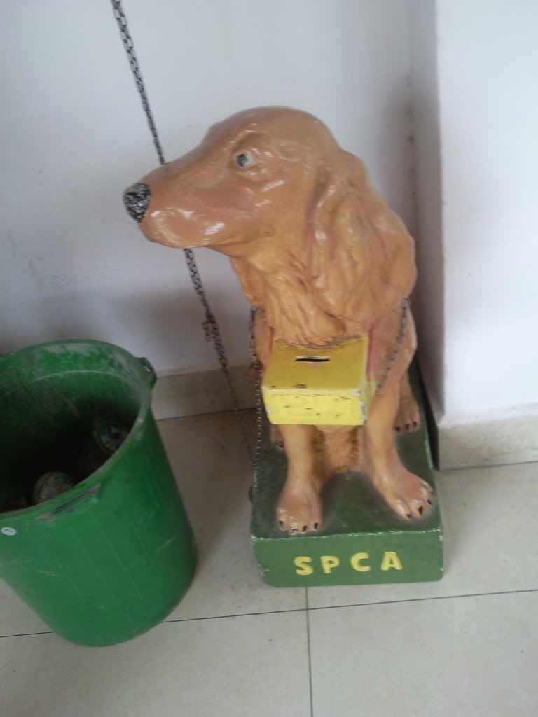 Pket