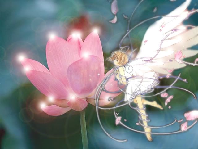 cardcaptor sakura wallpaper. card-captor-sakura-wallpaper-