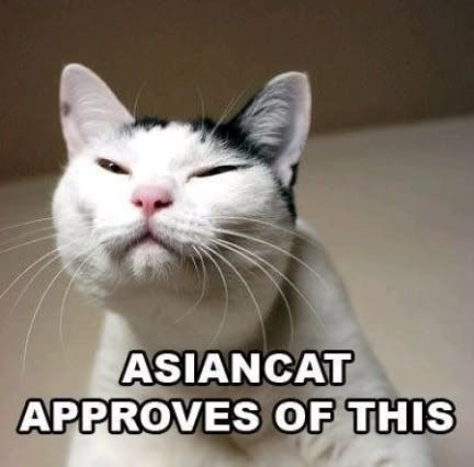 asian-cat-approves.jpg