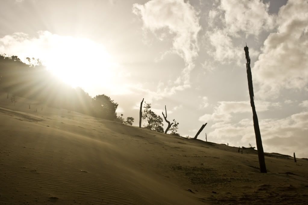 IMAGE: http://i802.photobucket.com/albums/yy304/SuperGuitarBitch/EOS/IMG_4488-1.jpg