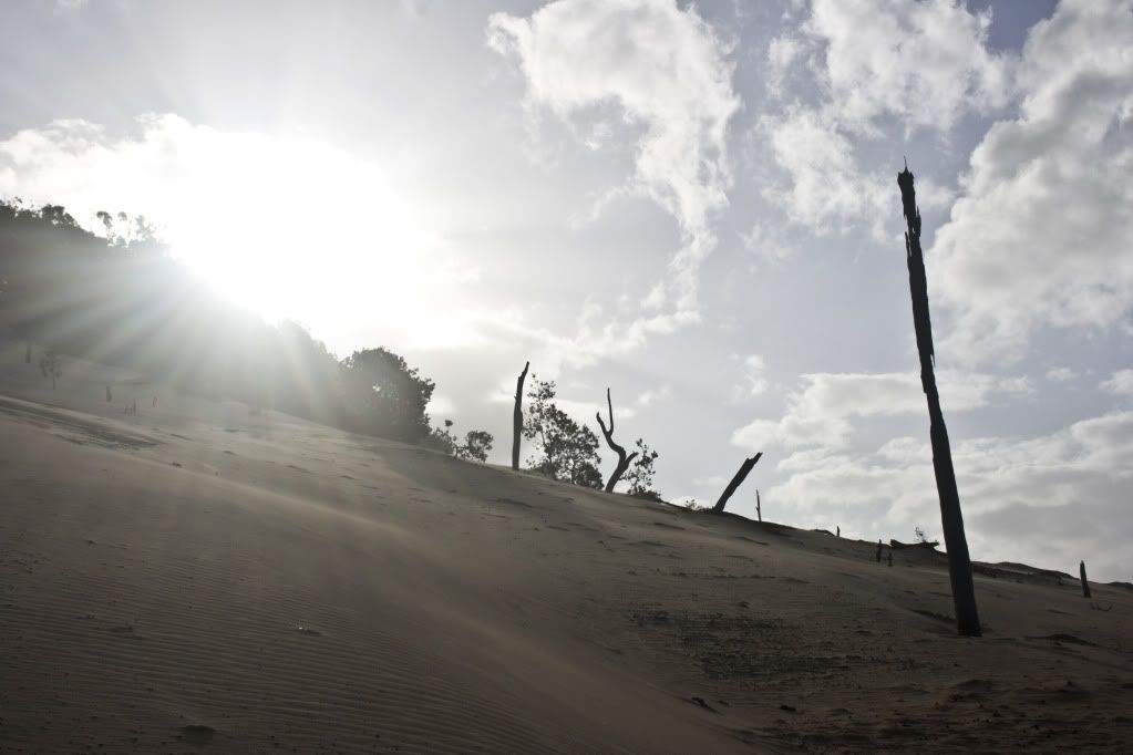 IMAGE: http://i802.photobucket.com/albums/yy304/SuperGuitarBitch/EOS/IMG_4488.jpg