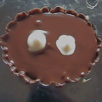 como rellenar chocolates caseros