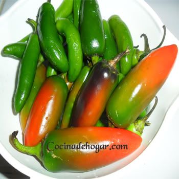 salsa de tomate verde-salsa de tomatillo