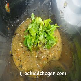 salsa de tomate verde-salsa de tomatillo