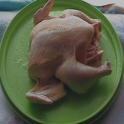 Cómo congelar aves