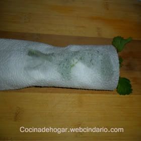 cómo conservar las hierbas aromáticas frescas por más tiempo