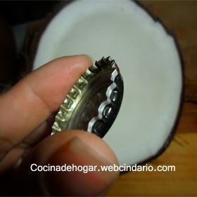 cómo rayar la carne de un coco