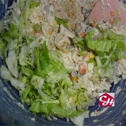 tostadas con pollo para botanas