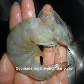 como limpiar camarones