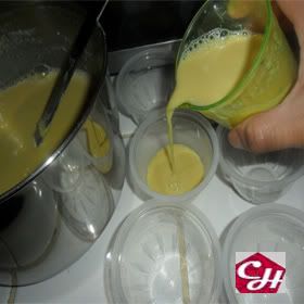 paletas heladas de vainilla
