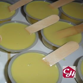 paletas heladas de vainilla