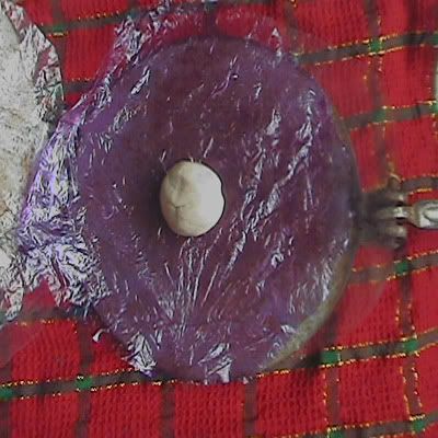 tortillas para tacos