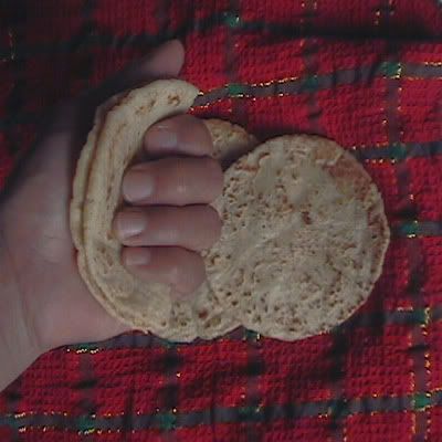 tortilla para tacos