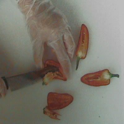 chiles y ajies