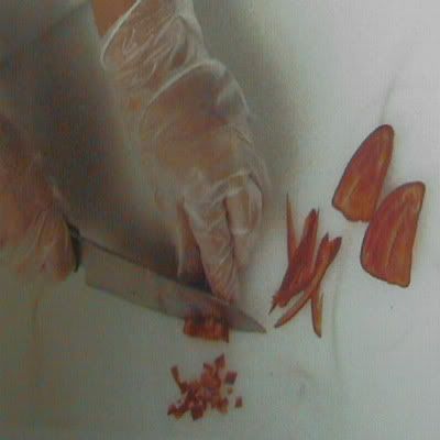 chiles, picantes y ajies