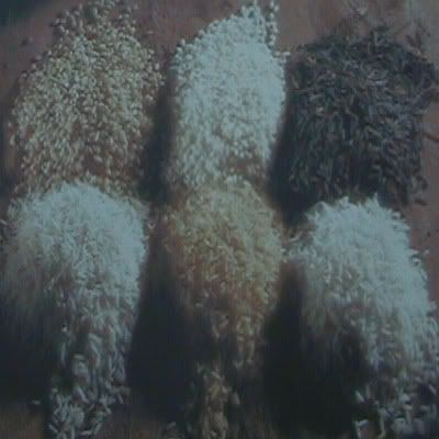 Recetas con arroz