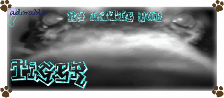 my puppy keeps tearing up his pee pad