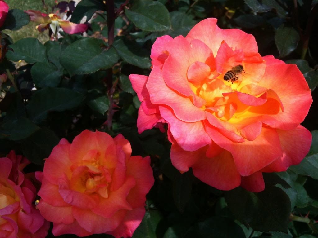 Take Off photo IMG_0071_2.jpg