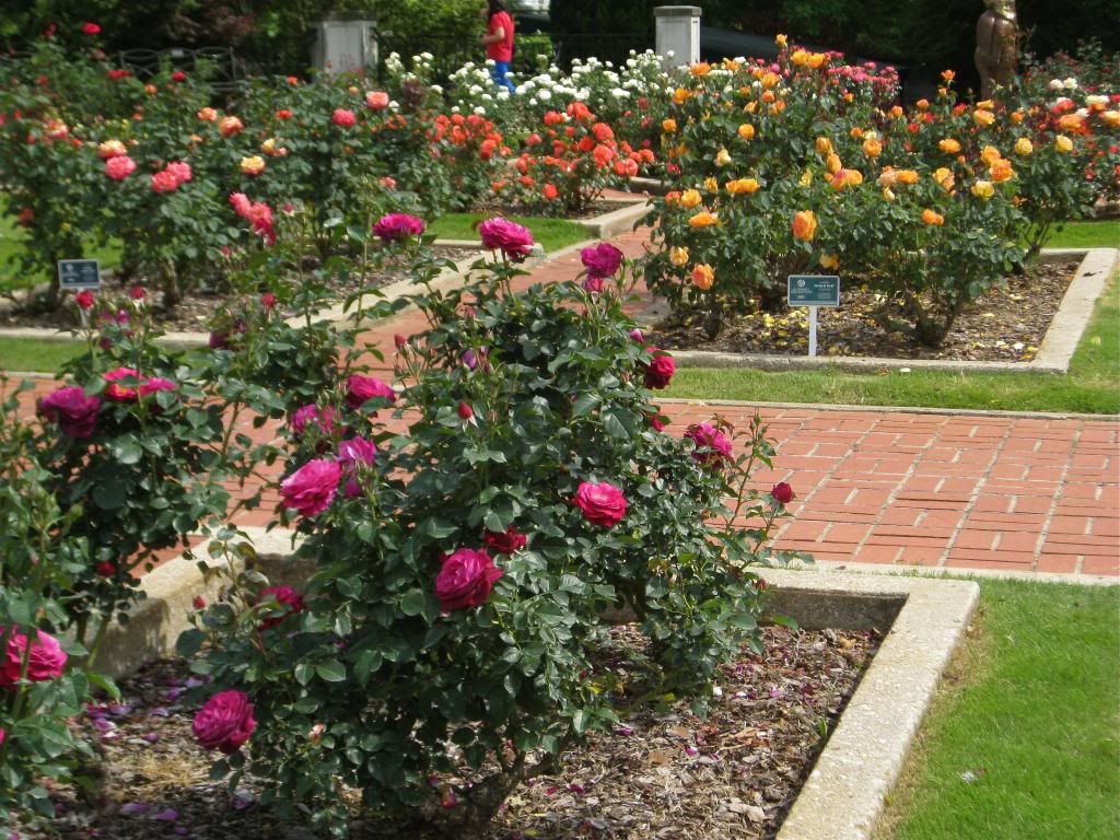 Birmingham Botanical Garden photo IMG_2923_2.jpg