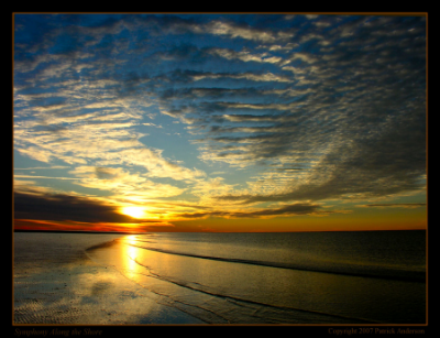 Symphony_Along_the_Shore-1.png picture by jamiejudy