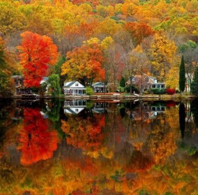 waterreflections2_large.jpg picture by jamiejudy