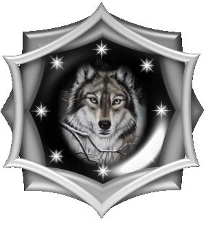 Native Wolf Pictures, Images and Photos