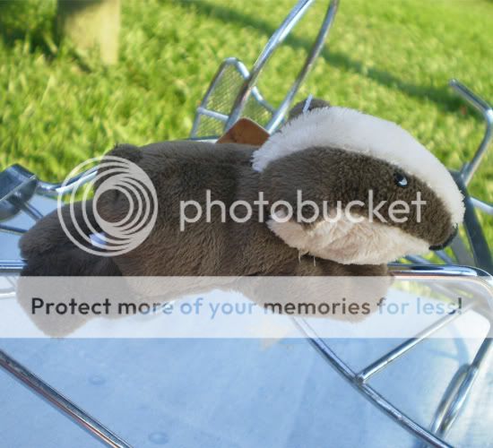 classic gray beaver refrigerator fridge magnet stuffed animals