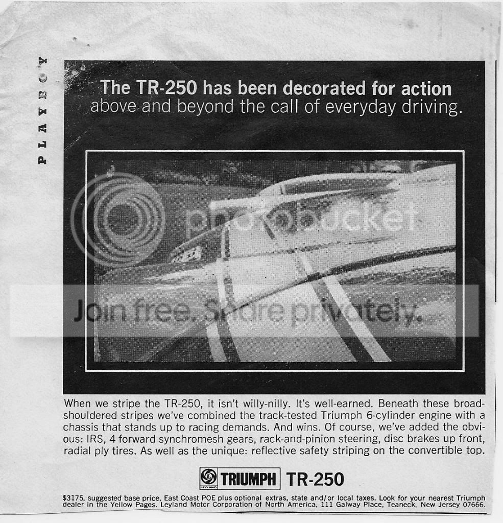 TR250_ad2.jpg