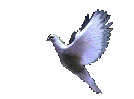d76f4bdc.gif